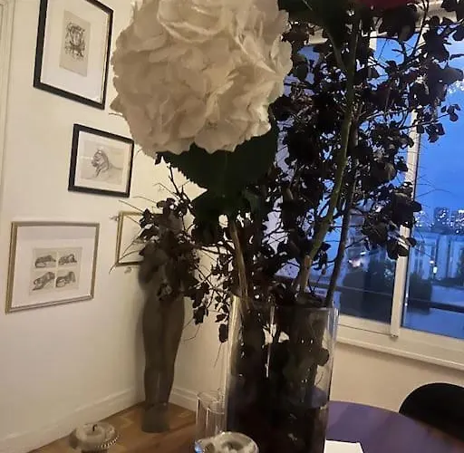 Daire Vaste Appt Baigne De Lumiere Paris
