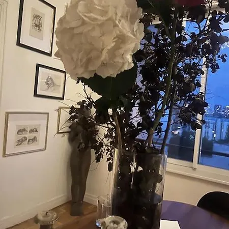 Apartment Vaste Appt Baigne De Lumiere Paris